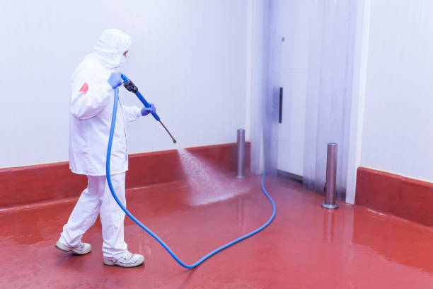 Best Factory Floor Cleaning  in Lifornia City, CA